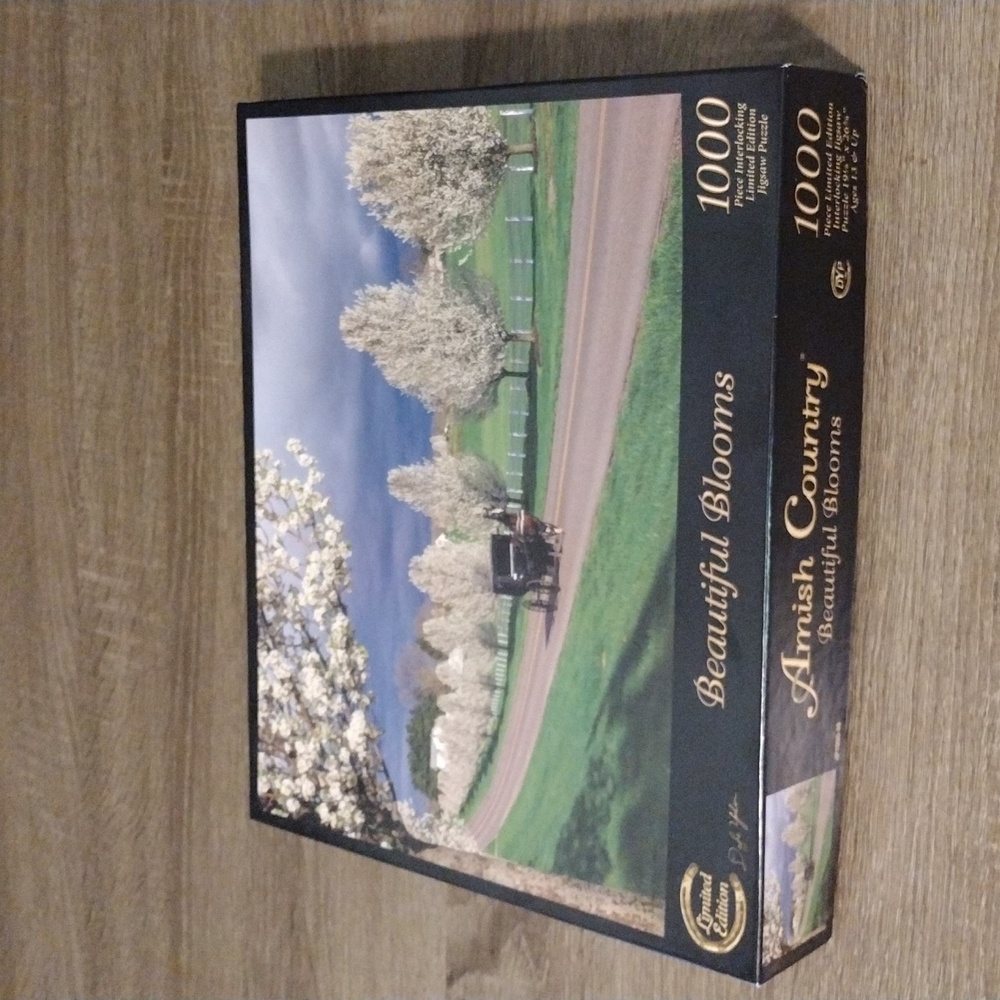 1,000 piece jigsaw puzzle